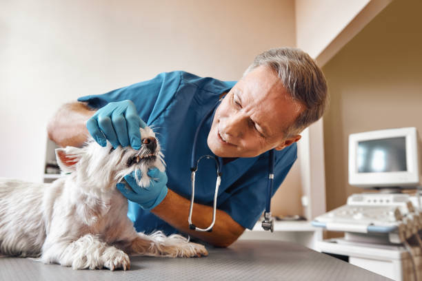 Best Weekend Emergency Dentist in Riverview, SC